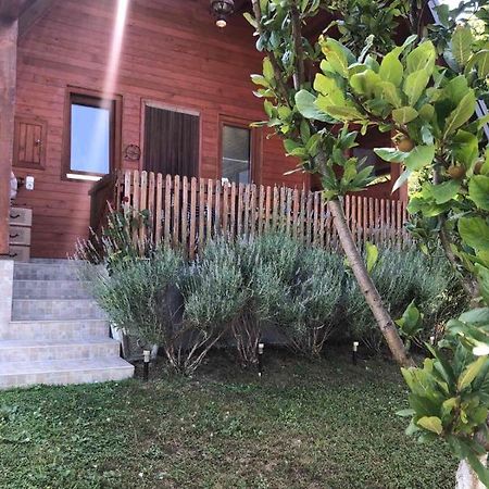 Holiday Home Nemo Bihać Dış mekan fotoğraf