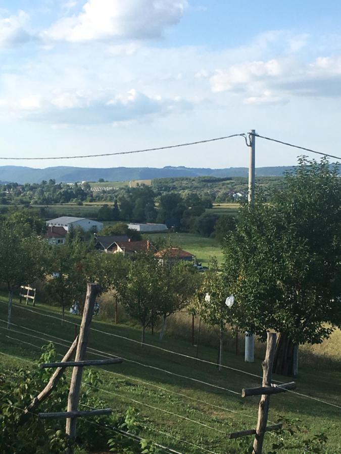 Holiday Home Nemo Bihać Dış mekan fotoğraf