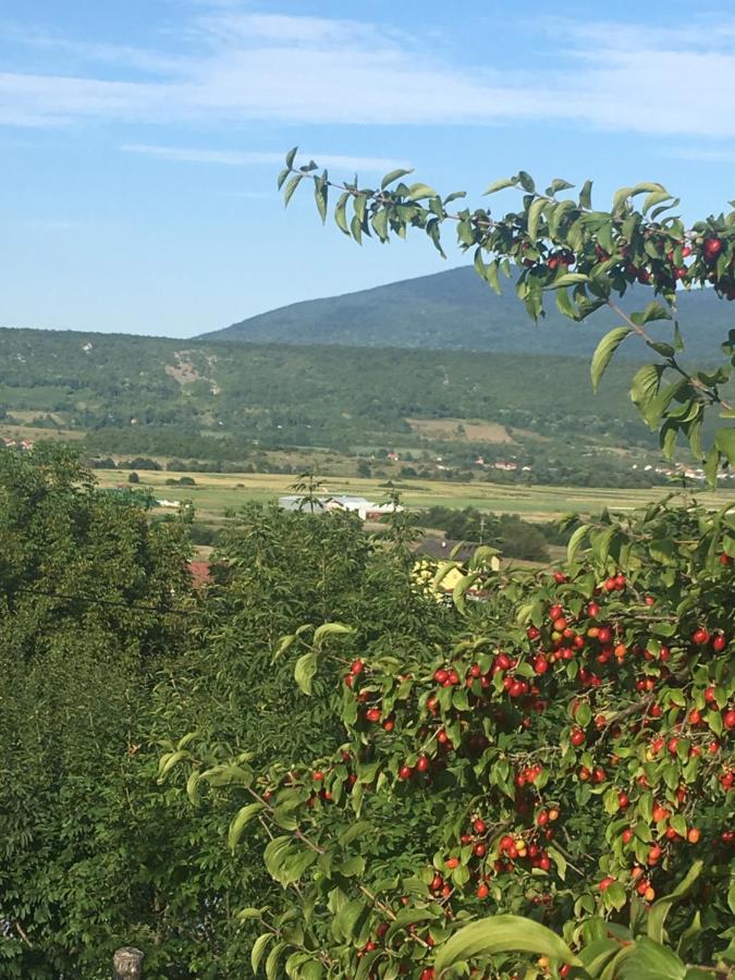 Holiday Home Nemo Bihać Dış mekan fotoğraf